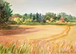 Wheat fields near Rissen