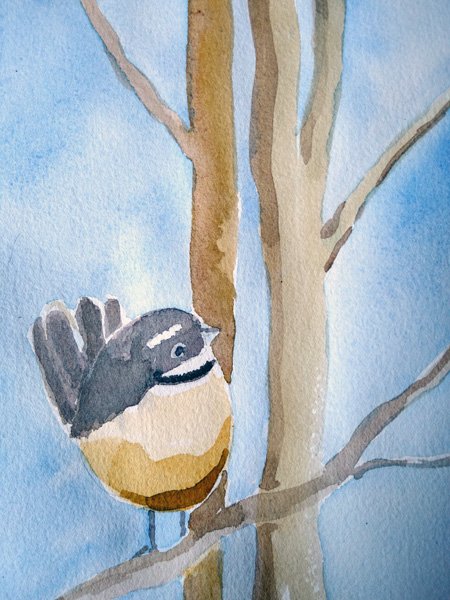 WAtercolour of a New Zealand Fantail