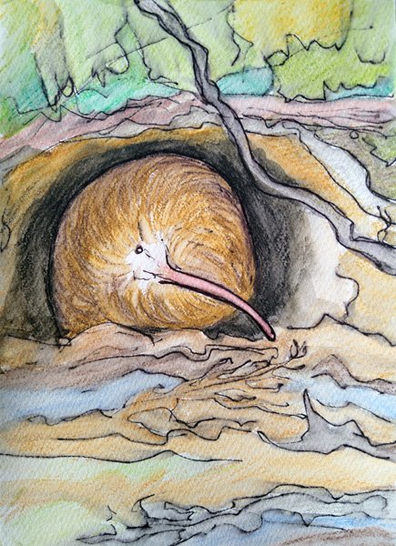 Watercolour painting of a Kiwi in its burrow