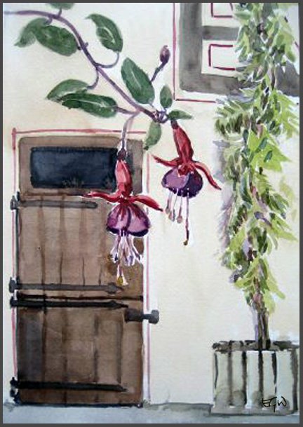 A fuchsia at the door of Ulla's house