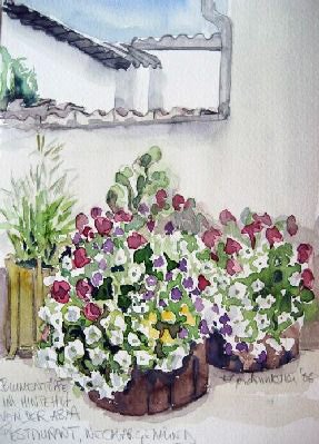 Two tubs of flowers against a wall