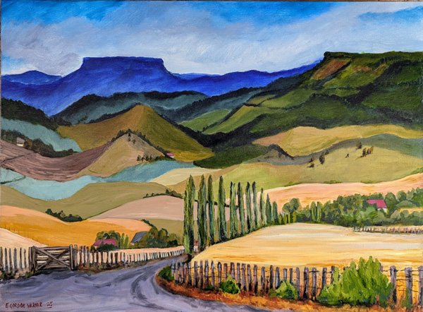 Central New Zealand LAndscape